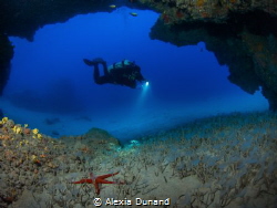Starfish, worms and diver. by Alexia Dunand 